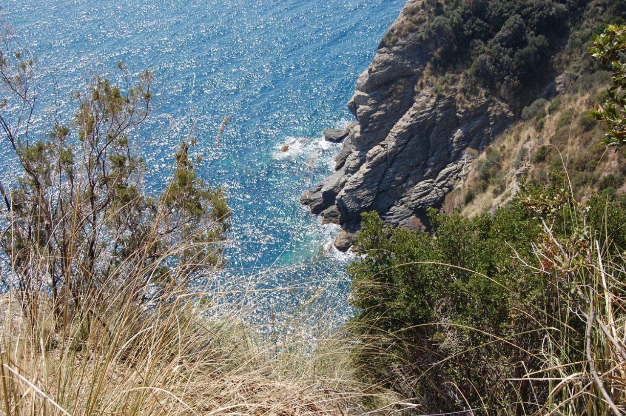 Time Is You Rapallo Kültér fotó